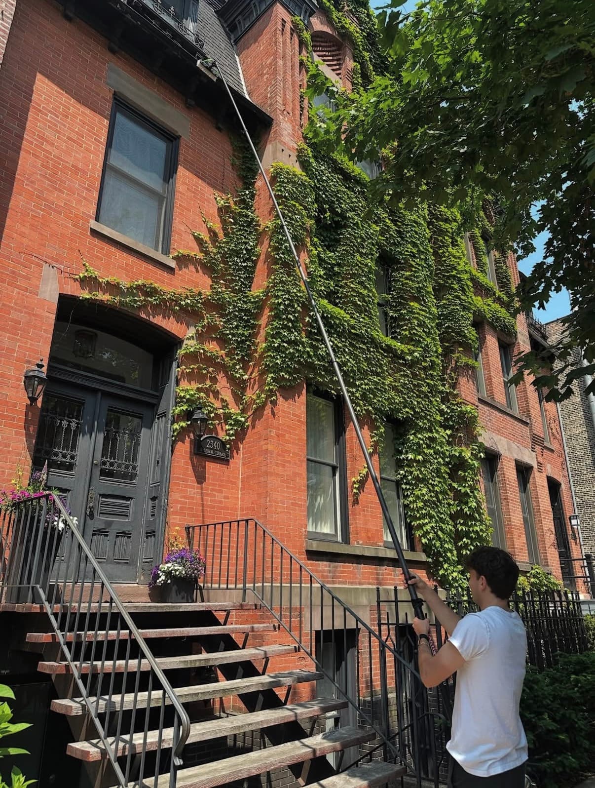 water-fed pole, ivy-wrapped rowhouse — Wicker Park