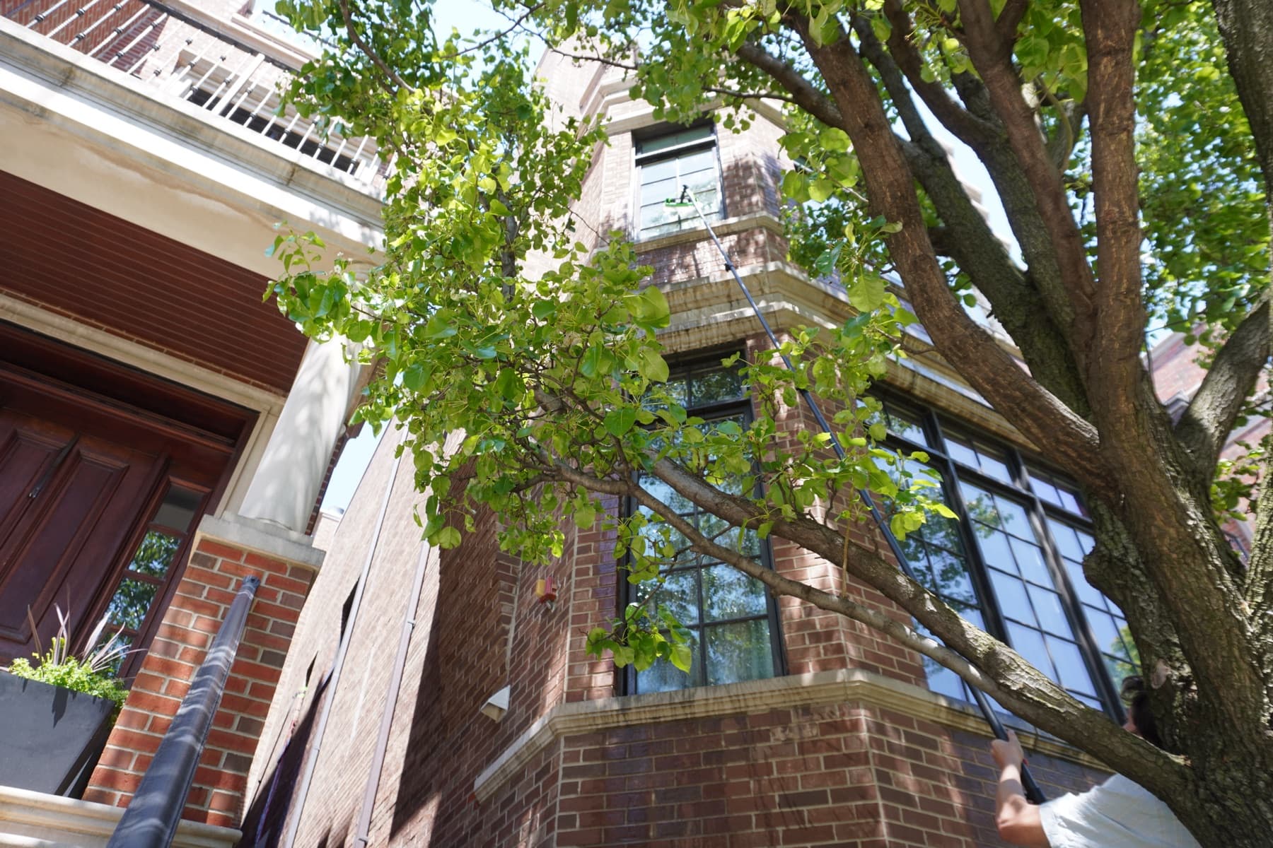 wide shot: finished residential, sunlight through trees